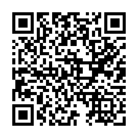 QR code for Z46173