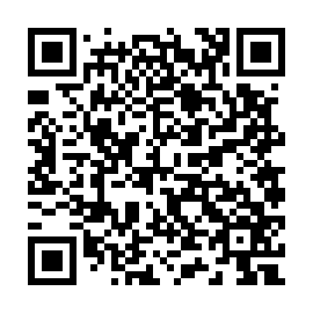 QR code for Z46566