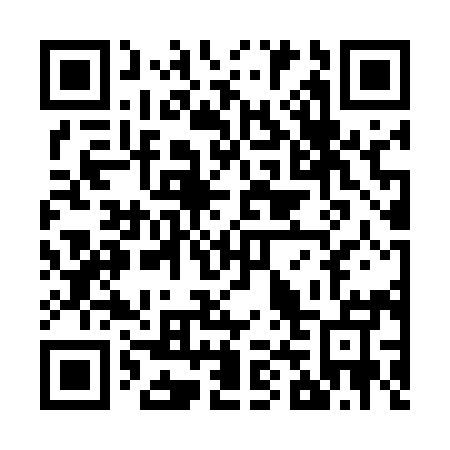 QR code for Z47595