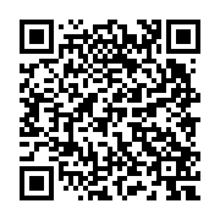 QR code for Z48603