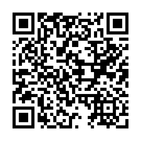 QR code for Z48739