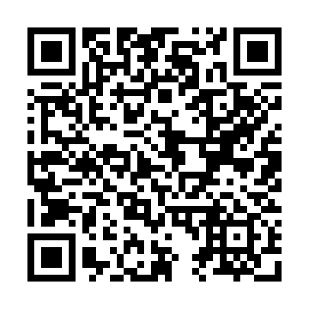 QR code for Z49339