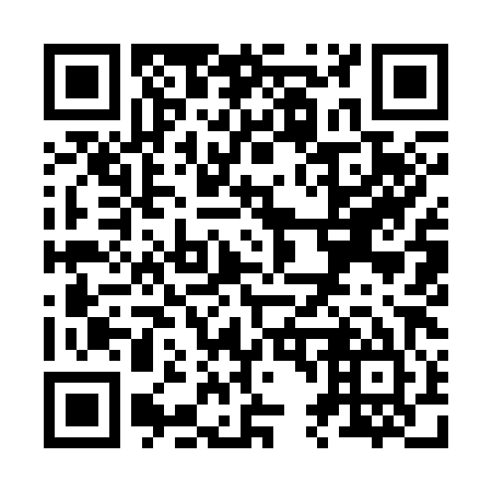 QR code for Z49385