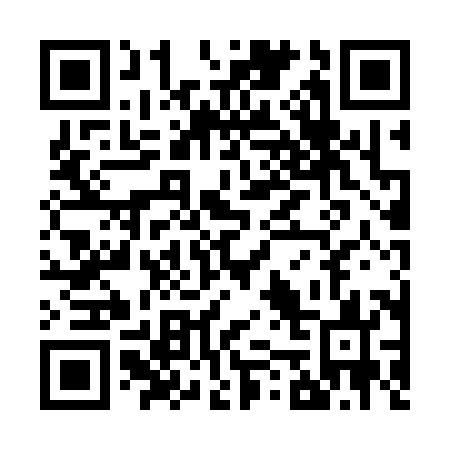 QR code for Z50383