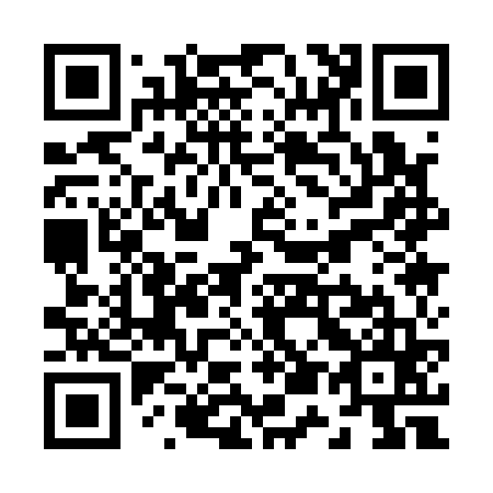 QR code for Z51165