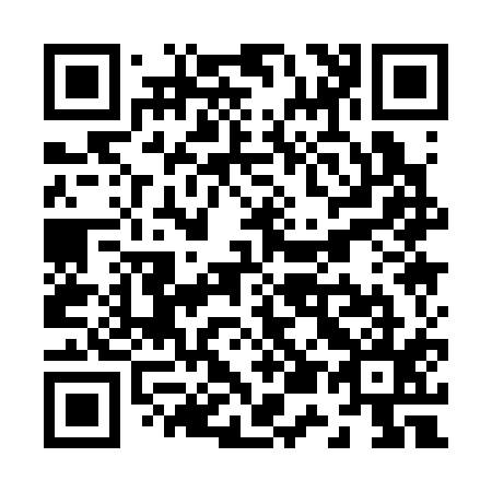 QR code for Z51315