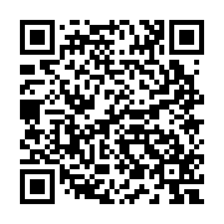 QR code for Z51317