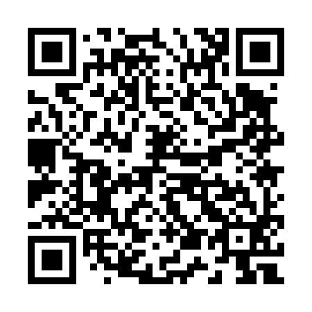 QR code for Z51492