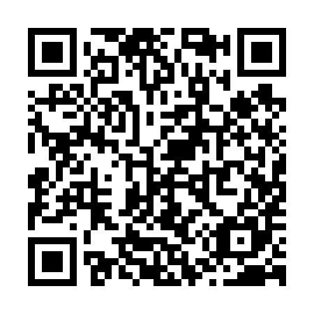 QR code for Z51685