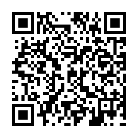 QR code for Z51996