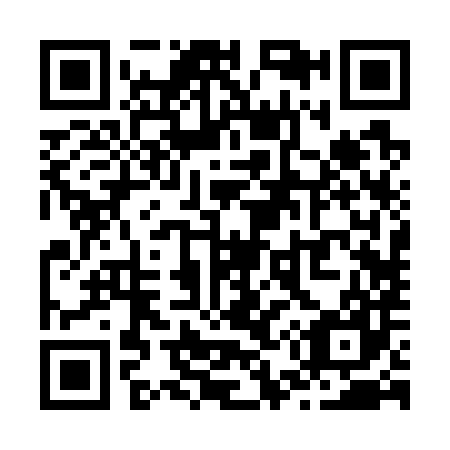 QR code for Z52787