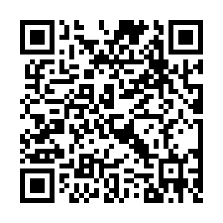 QR code for Z53142