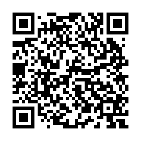 QR code for Z53204