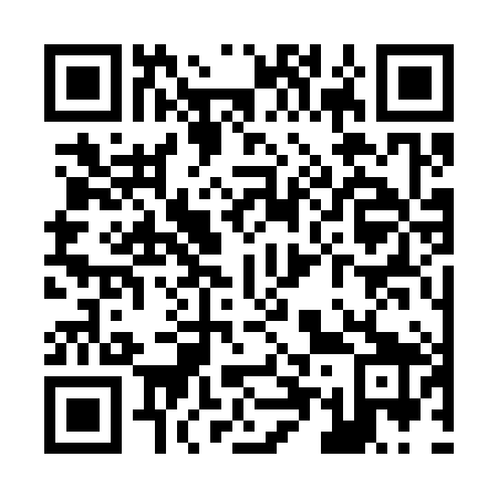 QR code for Z53389