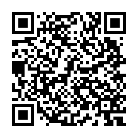 QR code for Z53656