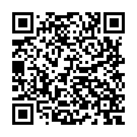 QR code for Z53966