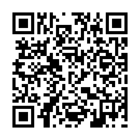 QR code for Z54385