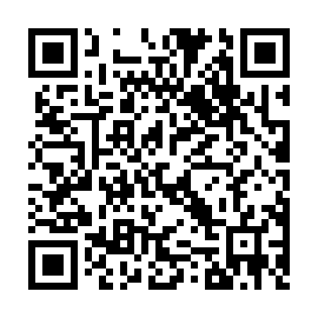 QR code for Z54387