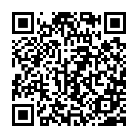 QR code for Z54742