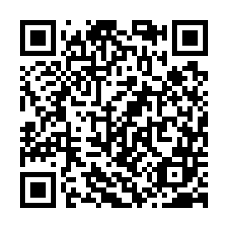 QR code for Z55742