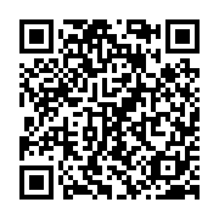 QR code for Z56251