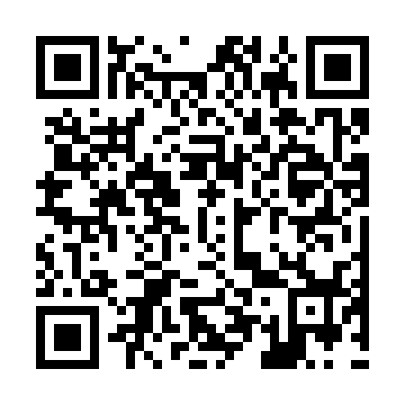 QR code for Z56338
