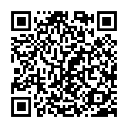 QR code for Z58029