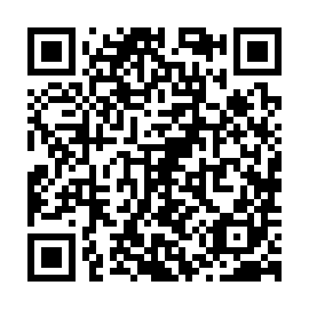 QR code for Z58380