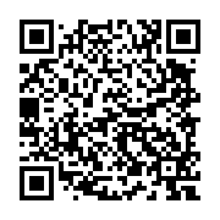 QR code for Z58493