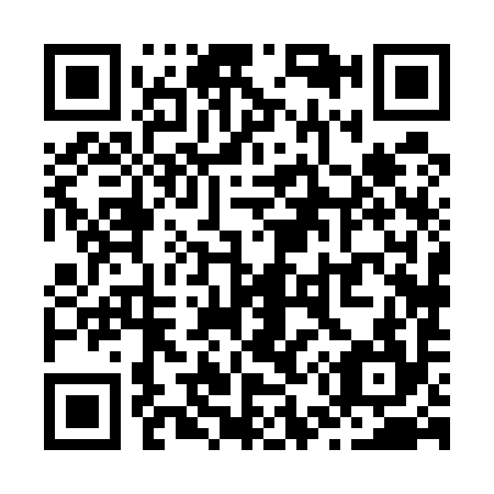 QR code for Z58594