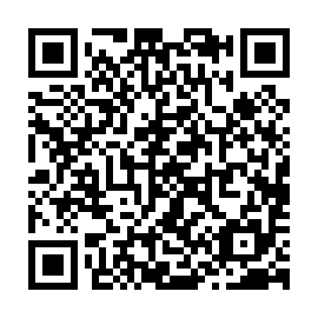 QR code for Z60095