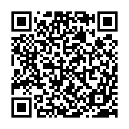 QR code for Z61557