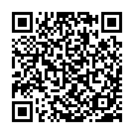 QR code for Z62381