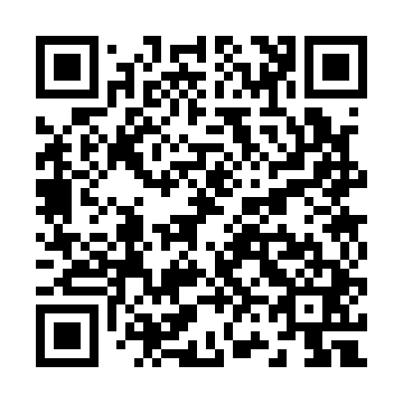 QR code for Z63141