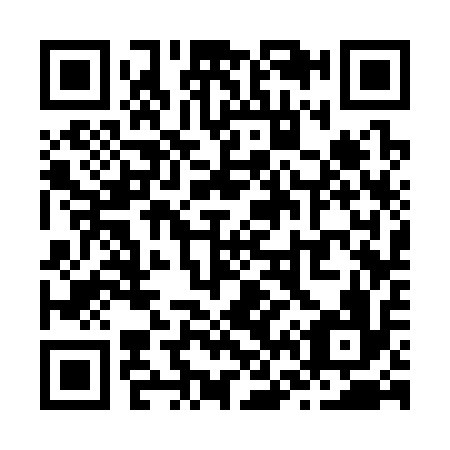 QR code for Z63316