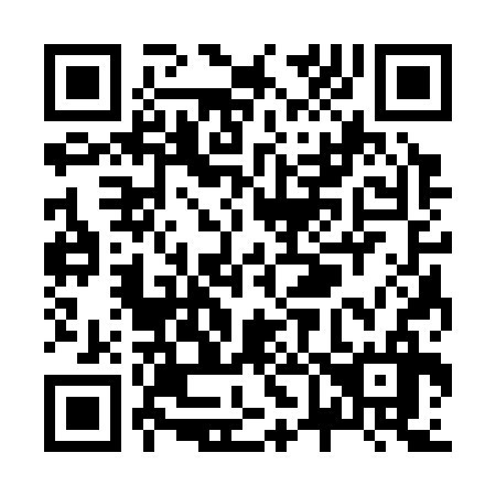 QR code for Z63336