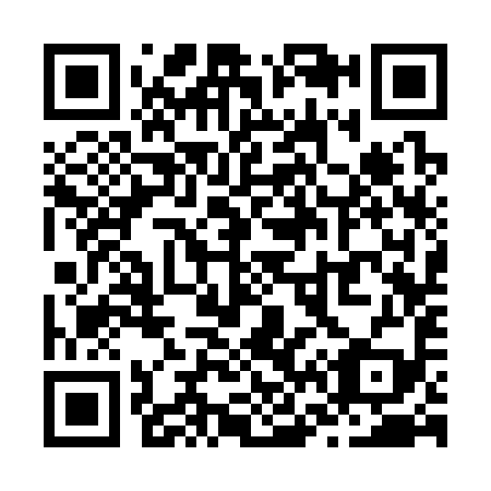 QR code for Z63399