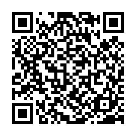 QR code for Z63423