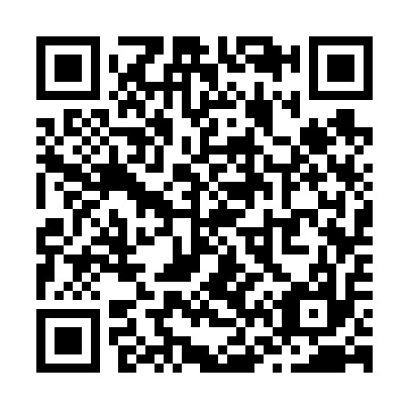 QR code for Z63617