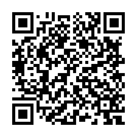 QR code for Z63856