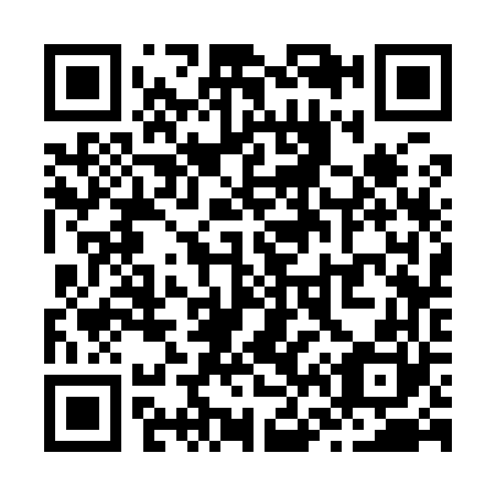 QR code for Z63960