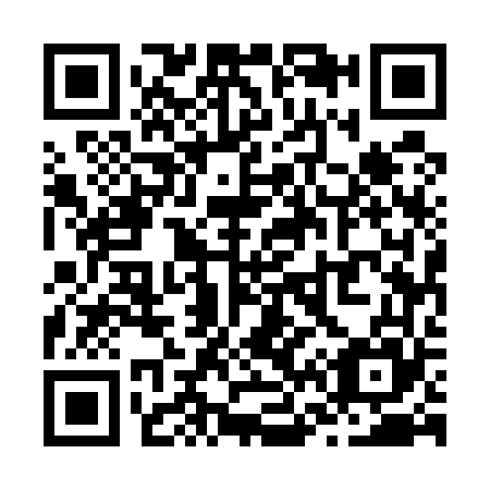 QR code for Z65565