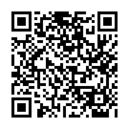 QR code for Z66046
