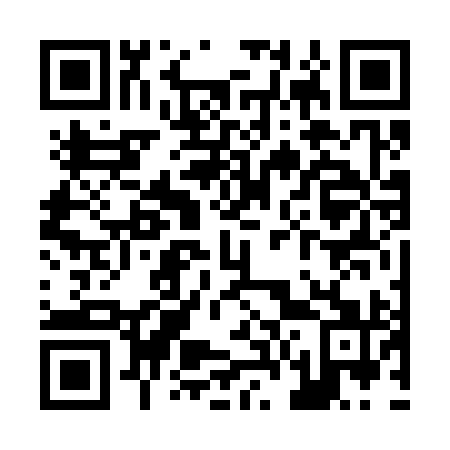 QR code for Z66391