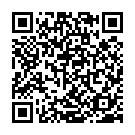 QR code for Z66530