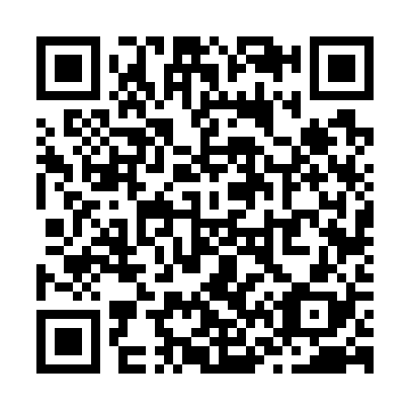 QR code for Z66728