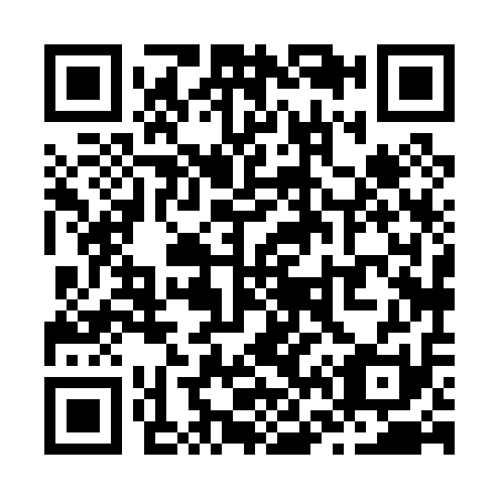 QR code for Z68011