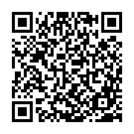 QR code for Z69546