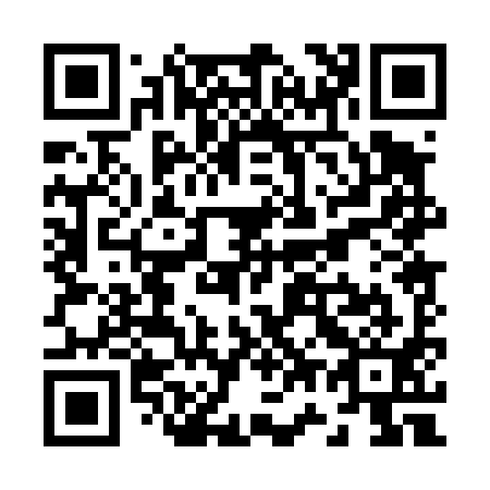 QR code for Z70491