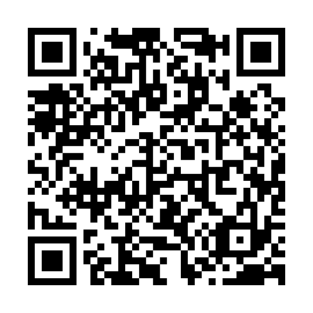 QR code for Z71133